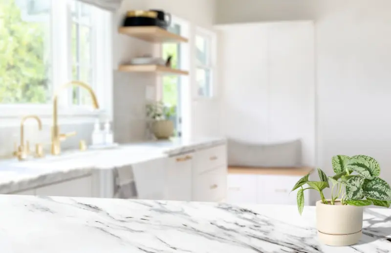 Kitchen Countertop Materials: What To Choose